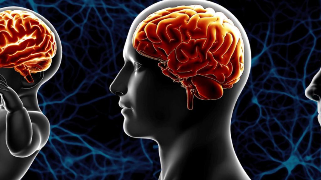 brain supplement neuriva reviews